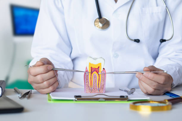 Best Mobile Emergency Dentist in Custer, SD
